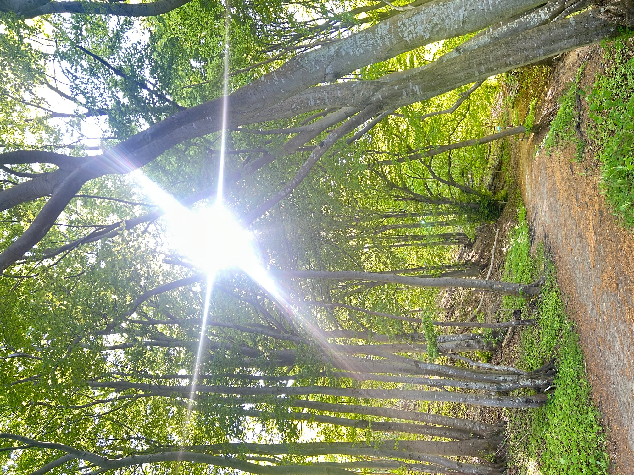 Quote reference image 14