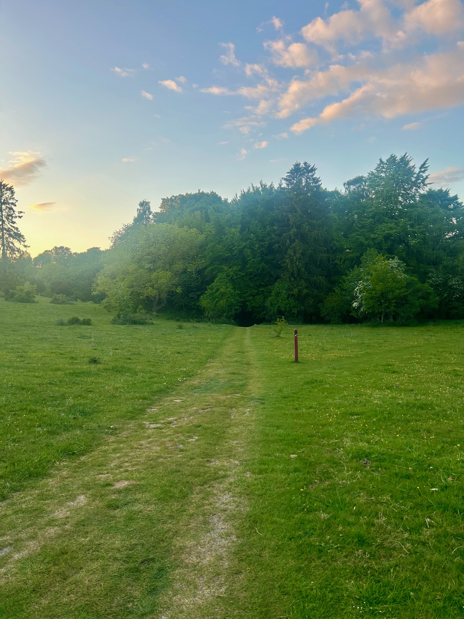 Quote reference image 17