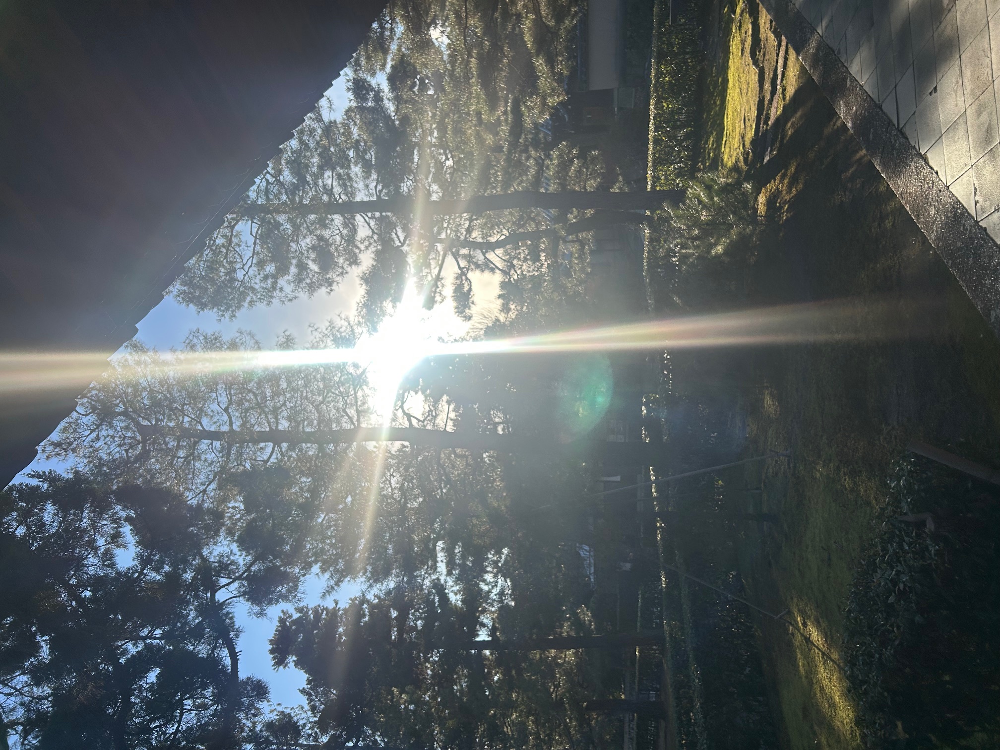 Quote reference image 19