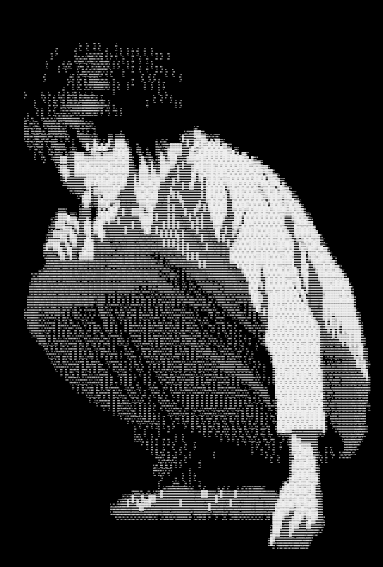 Quote reference image 9